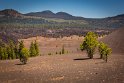 005 Lassen Volcanic SP